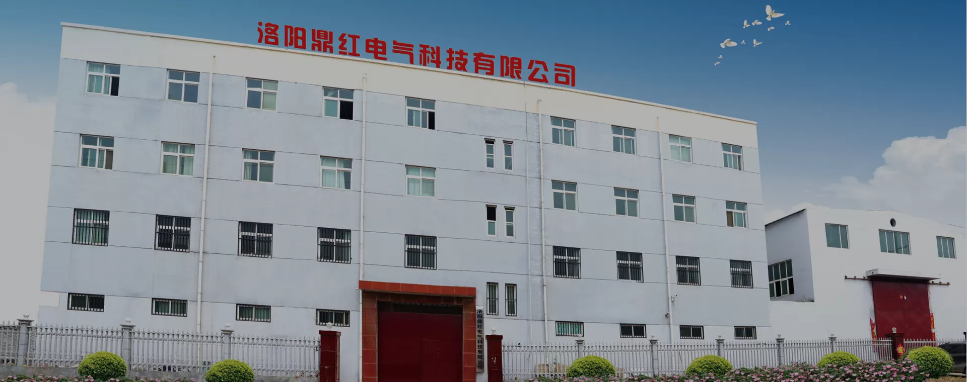 Company Profile